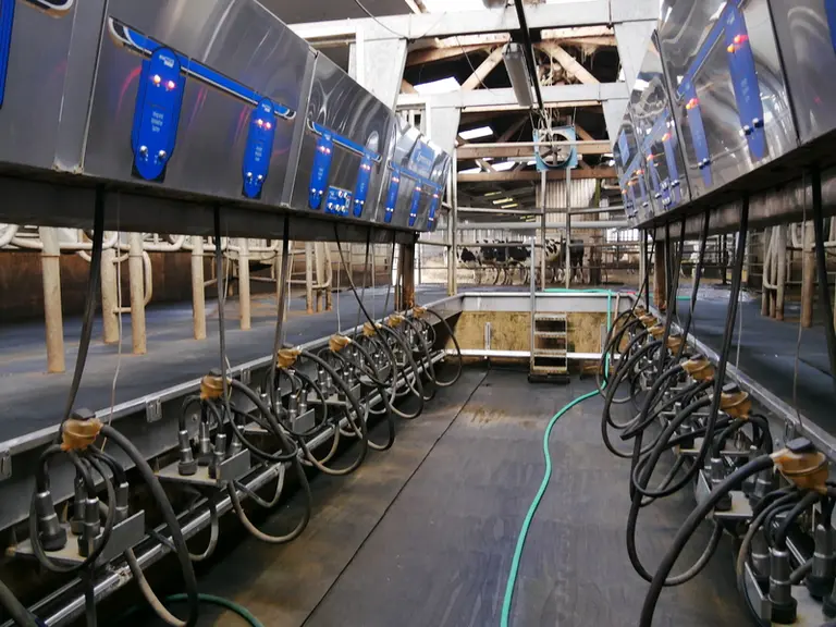 salle de traite TPA 2x10 postes