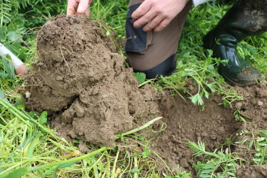 analyse de sol, motte de terre