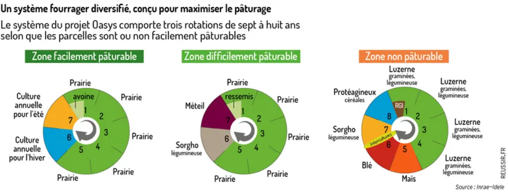Élevage laitier : plus agroécologique, plus résilient et plus rentable, c'est possible