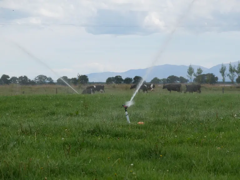 En Nouvelle-Zélande, la superficie des terres irriguées a doublé entre 2002 et 2019, passant de 384 000 hectares à 735 000 hectares.