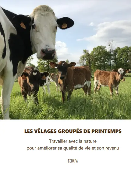 « Notre élevage laitier dégage 80 000 € de revenu pour 40 heures de travail hebdomadaires »