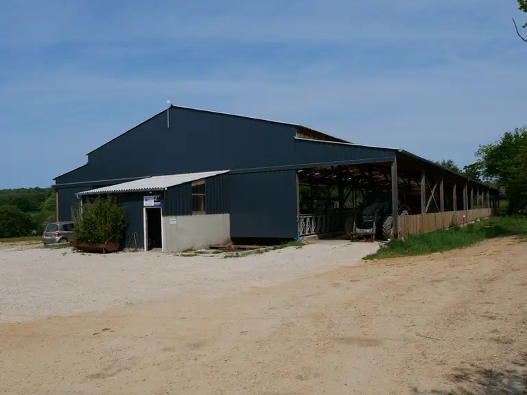 La stabulation de 97 logettes a été construite en tenant compte de la pente naturelle du site pour limiter les coûts de terrassement. 