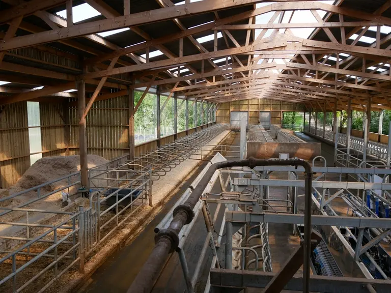 Le choix d’une charpente en bois classique plutôt qu’en lamellé-collé a réduit la facture de 15 000 euros sans nuire à la longévité du bâtiment.   