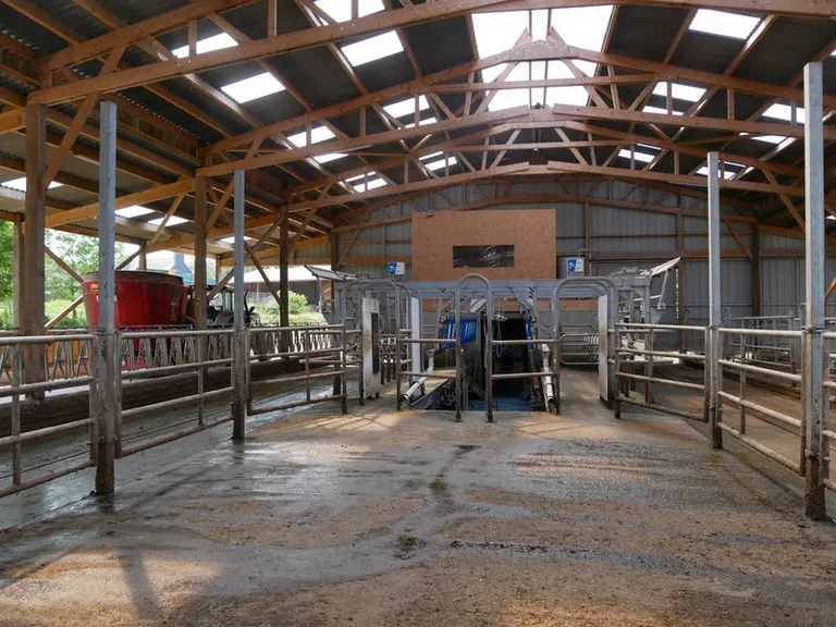 salle de traite, manche, normandie, parc d'attente