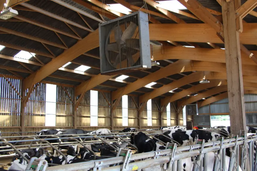 ventilateur flux horizontaux dans bâtiment d'élevage de vaches laitières