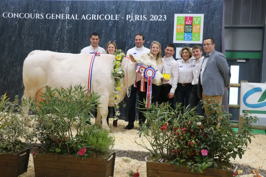 Concours vache bleue du nord