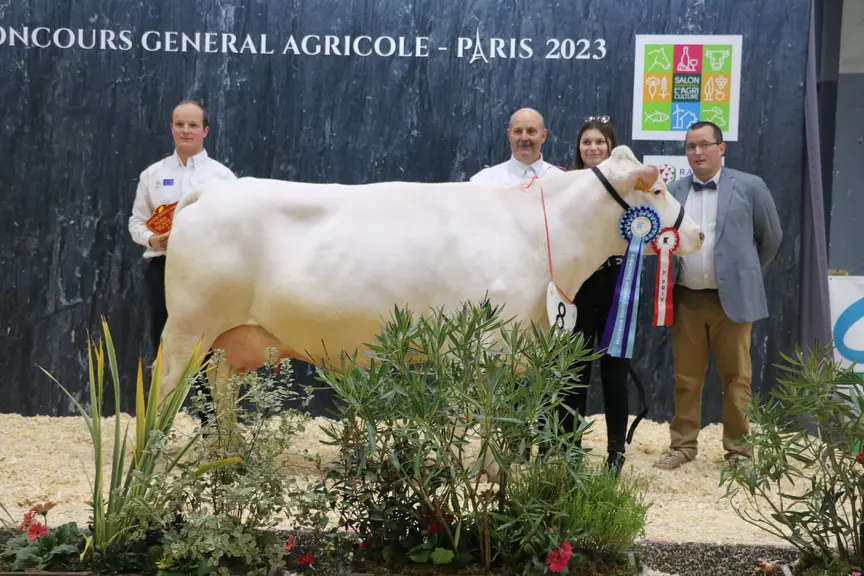 Concours vache bleue du nord