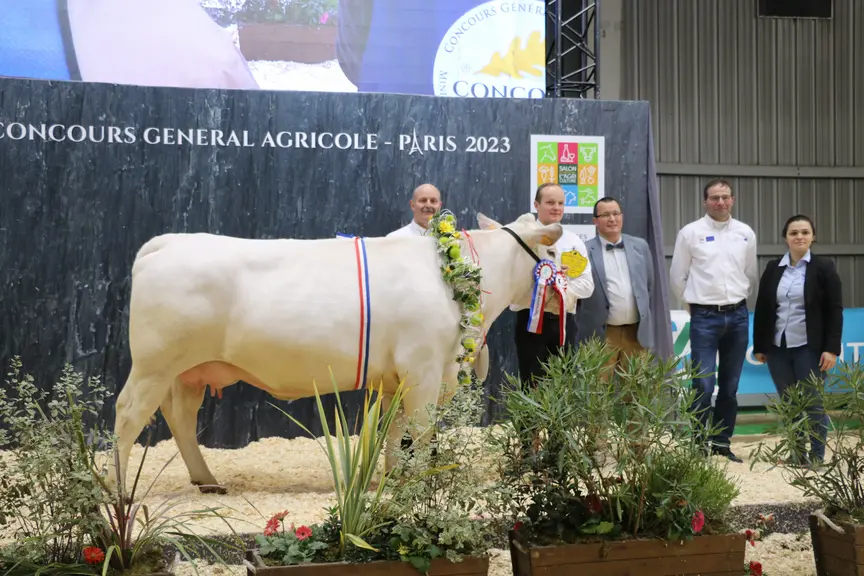 Concours vache bleue du nord