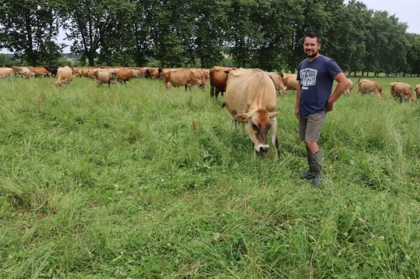 éleveur dans pré avec vaches jersiaises