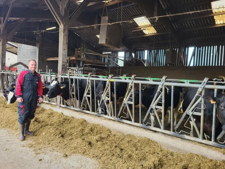 éleveur posant devant des vaches prim'Holstein