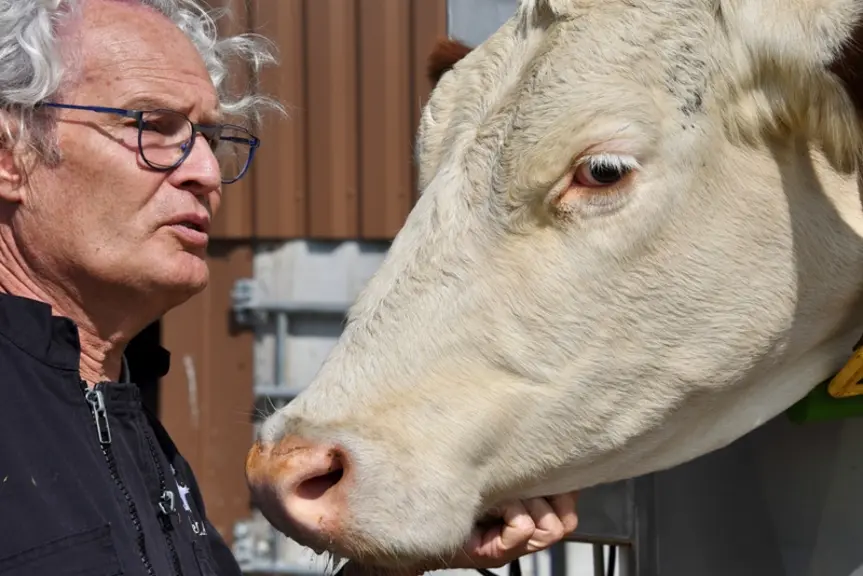 Marc Delacroix, vétérinaire. « Un traitement efficace de la Mortellaro nécessite de mesurer l’ampleur des petites lésions de la peau présentes dans la