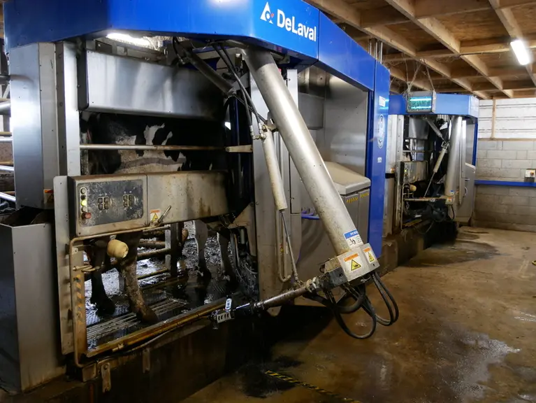 robot de traite Delaval VMS 310