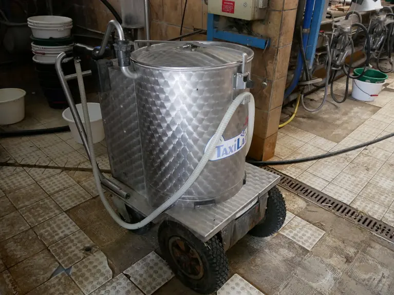 taxi lait pour distribuer le lait aux veaux un repas par jour à partir de 3 jours