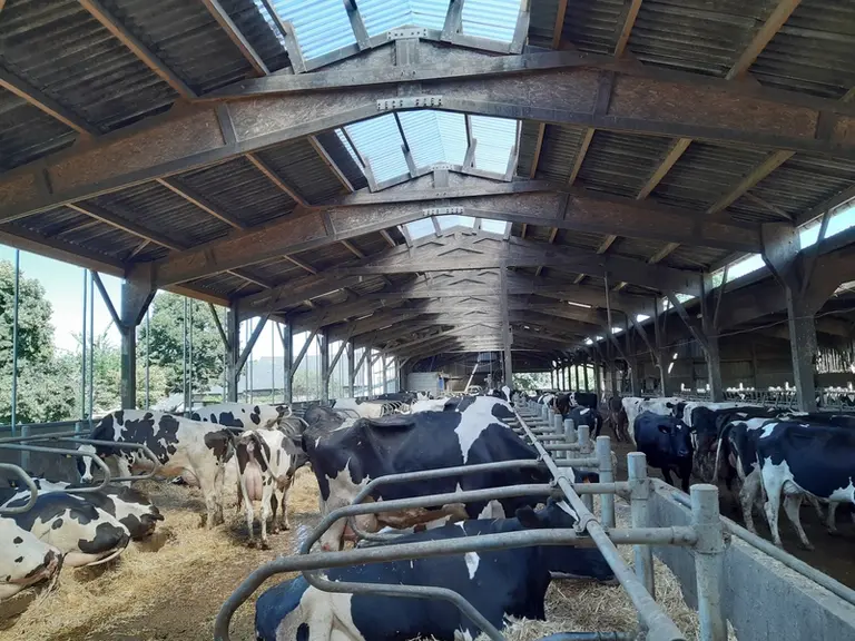 Sur la façade nord, le bardage a été entièrement remplacé par un filet brise-vent.