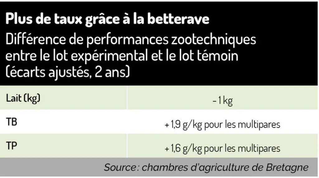 La betterave, un fourrage pour faire des taux