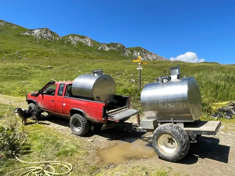 transport de deux tanks à lait en pick-up de l'alpage vers le point de collecte