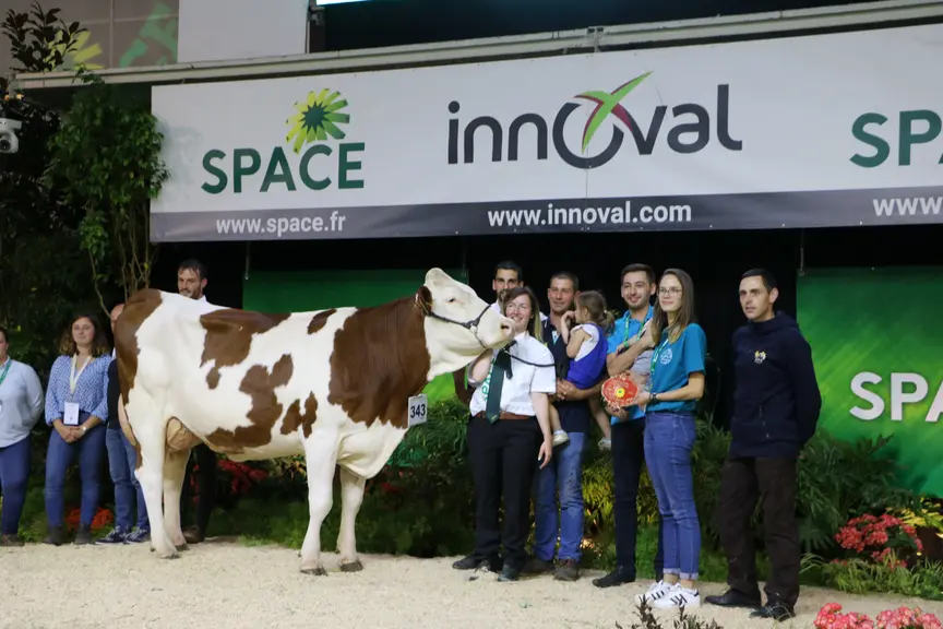 Polka, vache montbéliarde sur le podium du Space 2023