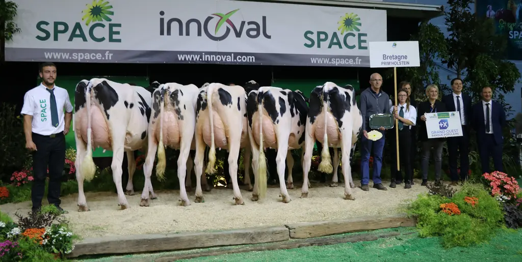 prim'holstein space 2023 lot breton