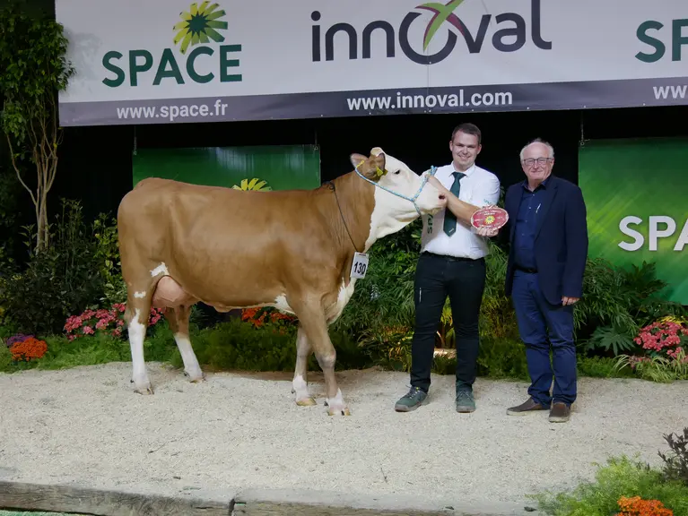 simmental championne espoir du concours européen space 2023