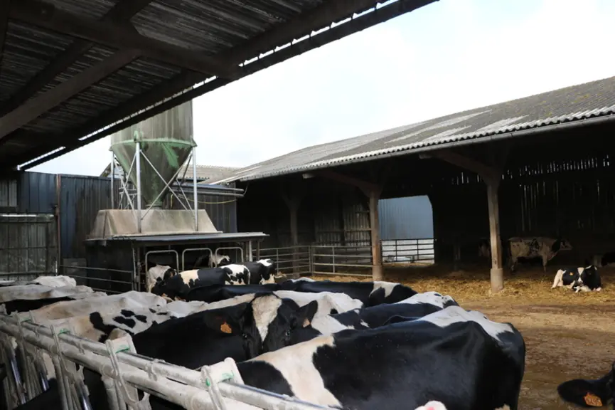 Stabulation semi-ouverte avec aire d'exercice découverte, aire paillée au fond et couloir d'alimentation couvert