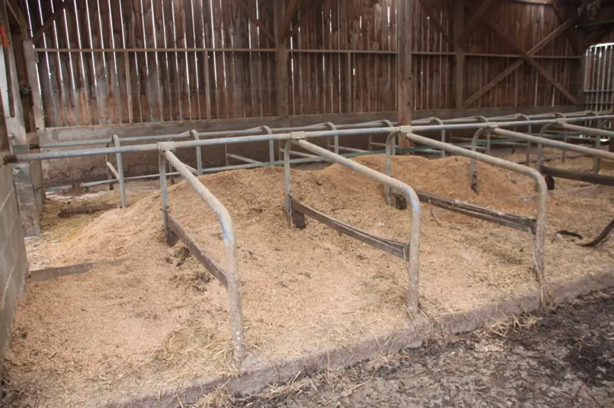 Les copeaux produits sur l’exploitation sont en partie utilisés comme litière dans les logettes.