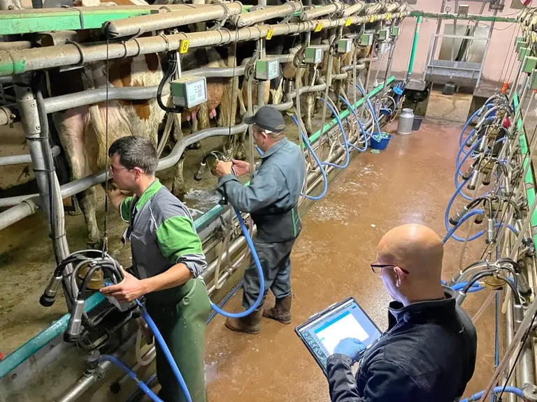 Traite : Quand les tests traquent les anomalies au plus près du trayon