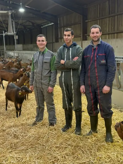 Hugo, Noé, actuellement apprenti et potentiel futur associé, et Antonin : « Nous sommes attirés par les résultats et l'ambiance de travail au sein du Gaec. »