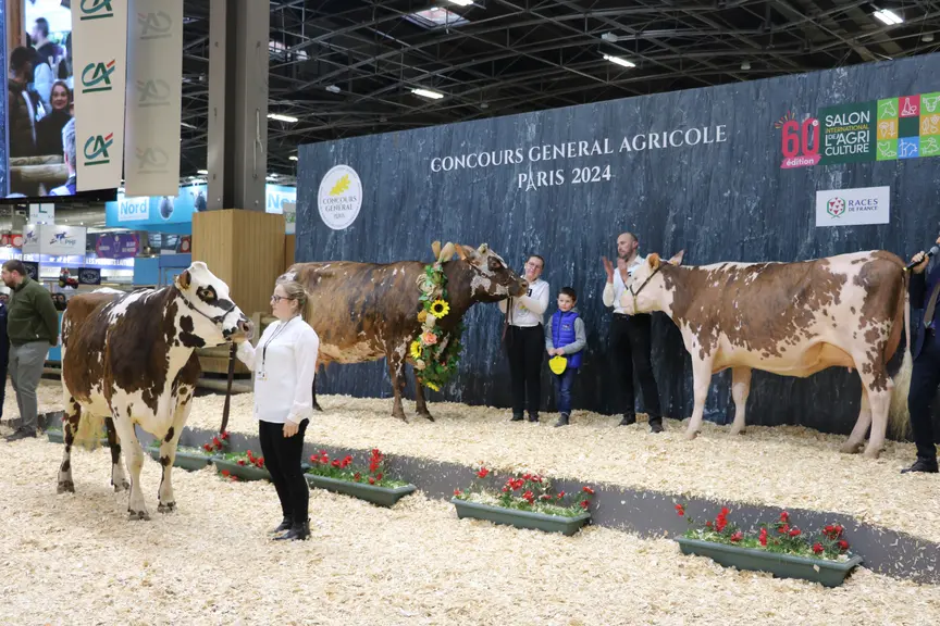 Hamada, grande championne, Sun Sept, réserve accompagnées d'Oreillette la vache égérie