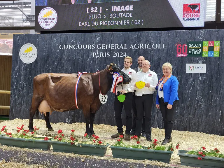 Image, championne adulte