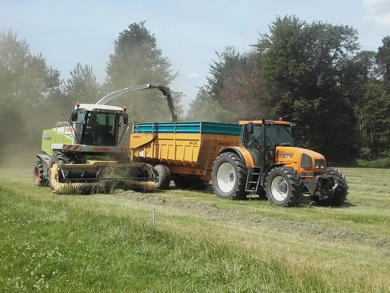 En cas de mauvaise maîtrise de la chaîne de récolte, les pertes au champ et lors la conservation peuvent grimper à plus de 30 %.
