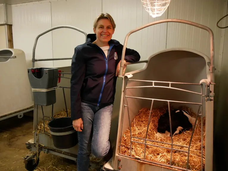 Éleveuse veaux pouponnière