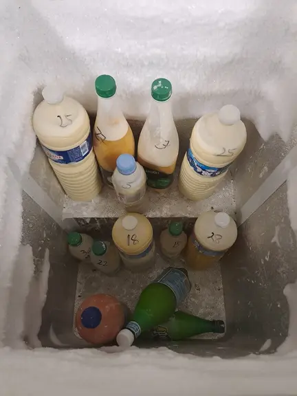 colostrum mesurés et congelés