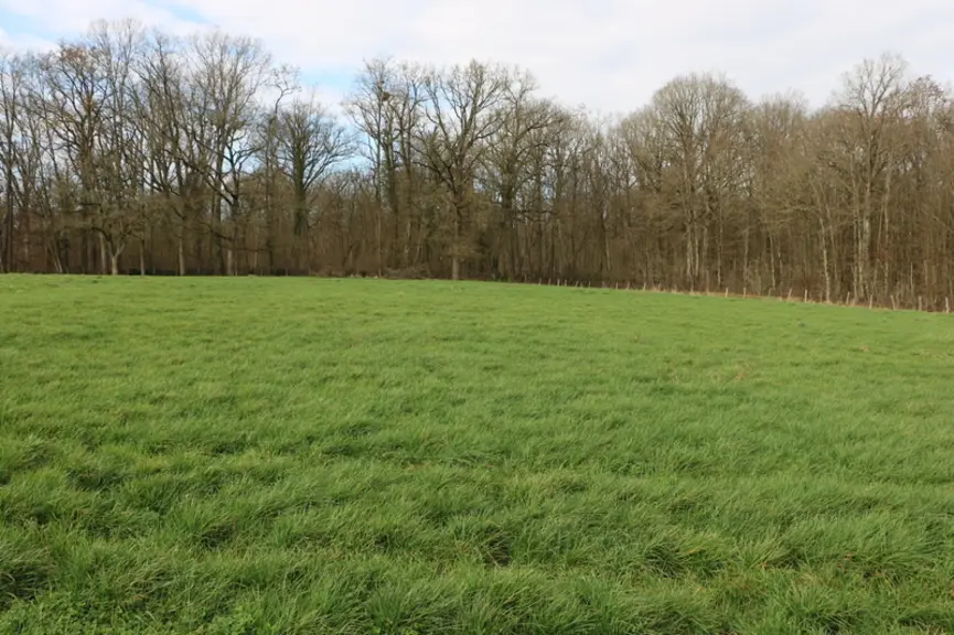 Les vaches ont accès à 9 hectares directement accessibles depuis la stabulation. Et 19 hectares de l’autre côté d’une route. En tout, les vaches traites disposent de ...