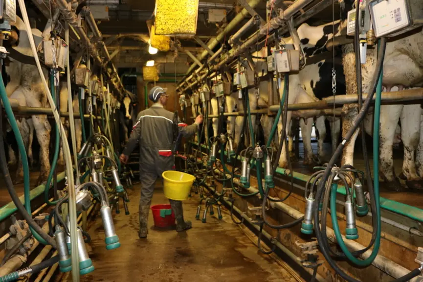 « Nous gagnons une heure à la traite quand un stagiaire vient en appui pour aller chercher et emmener les vaches au pré, laver le bloc traite, guider une vache au box ...