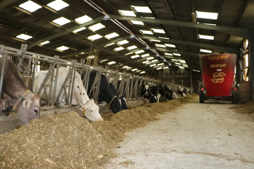 La ration hivernale se compose d’ensilage de maïs, d'ensilage d’herbe, d'orge, de correcteur azoté et de concentré de production. En été, trois sortes ...