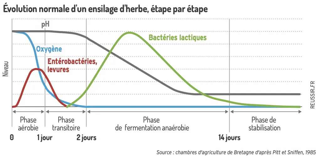 graphique évolution d'un ensilage d'herbe