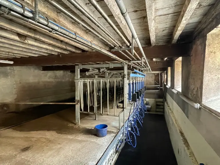 salle de traite
