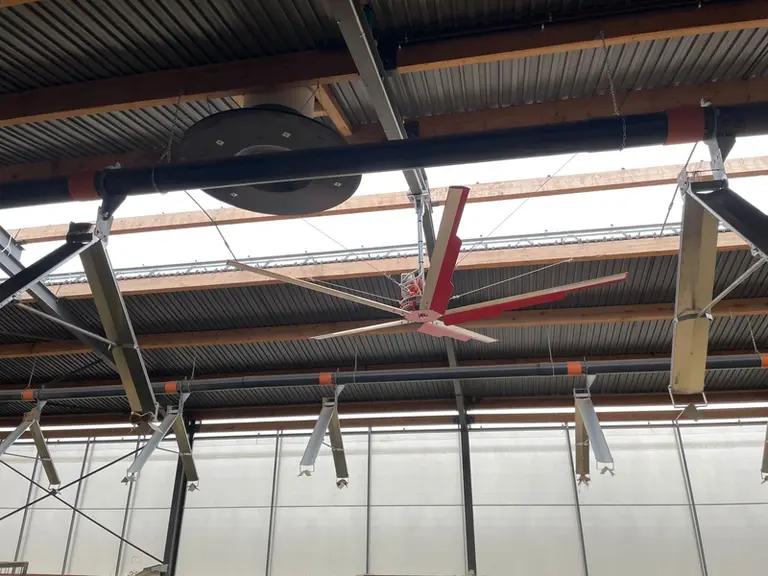 Brasseurs d'air couplés au pad cooling, installés à al ferme du trèfle.