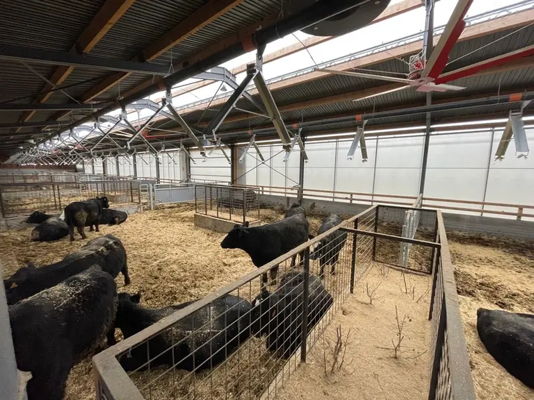 Vue de l'intérieur d'une des cases de la ferme du trèfle