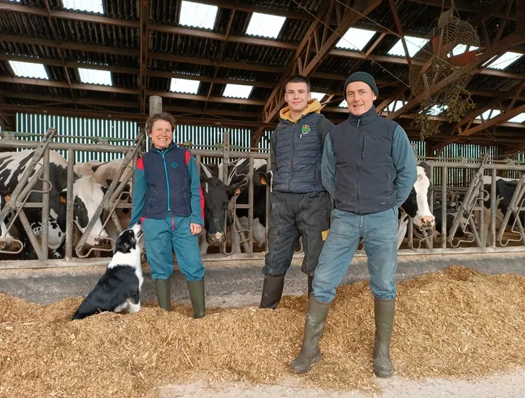éleveurs devant la ration distribuée à l'auge par la désileuse