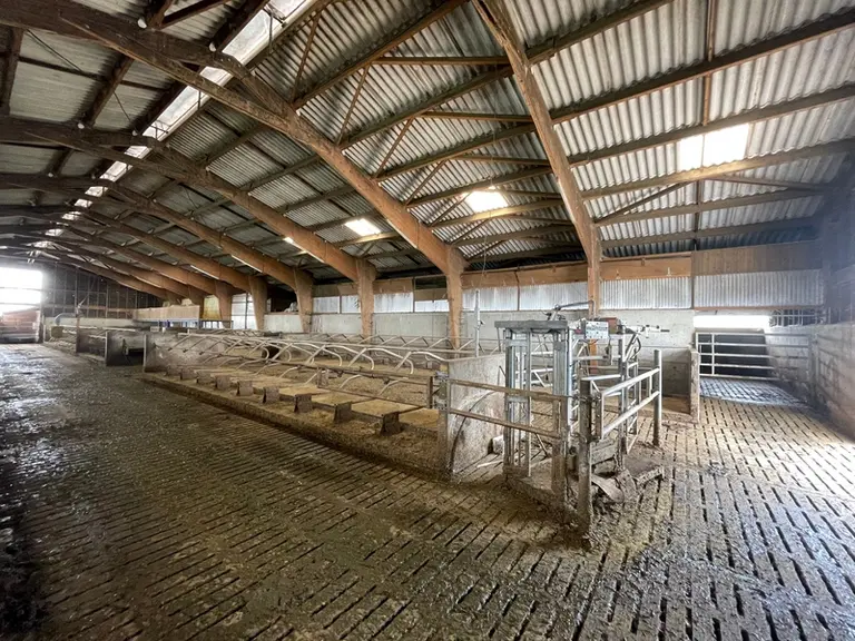 stabulation en élevage laitier