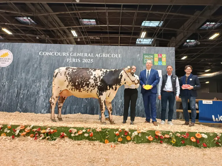 Prix d'honneur jeune normande sia 2025
