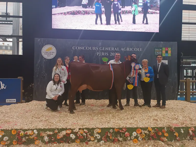 Grande championne rouge flamande sia 2025