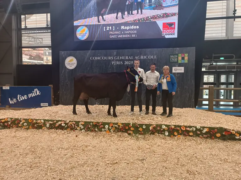 meilleure mamelle adulte rouge flamande sia 2025