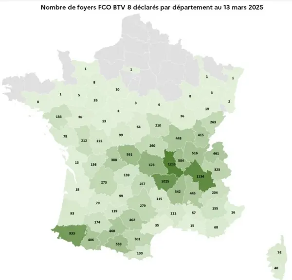 Carte de la répartition des foyers déclarés de FCO 8, en date du 13 mars 2025.