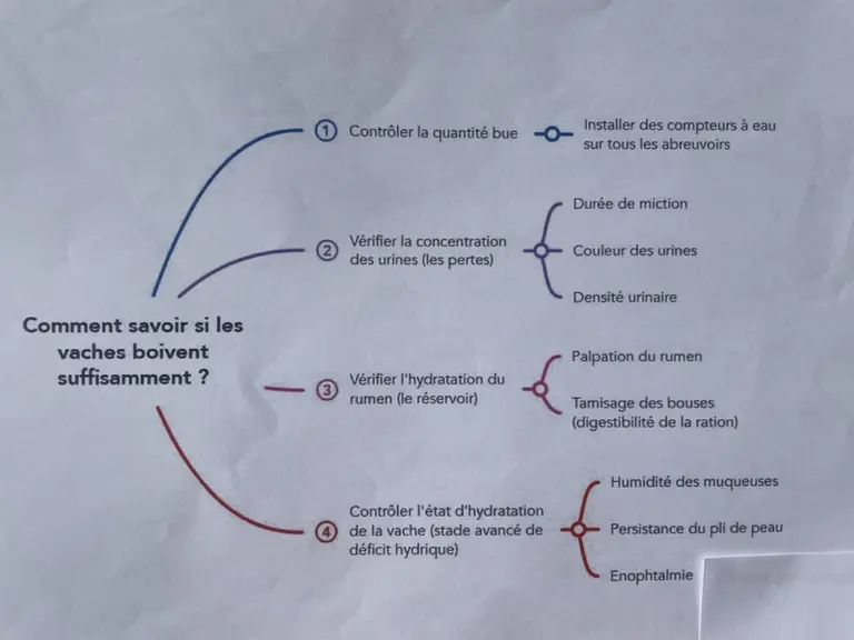 Abreuvement : « Le manque d’eau freine la production dans neuf élevages sur dix »