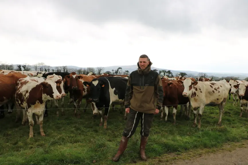 Matthieu Caugant, éleveur dans le Finistère, devant ses vaches laitières