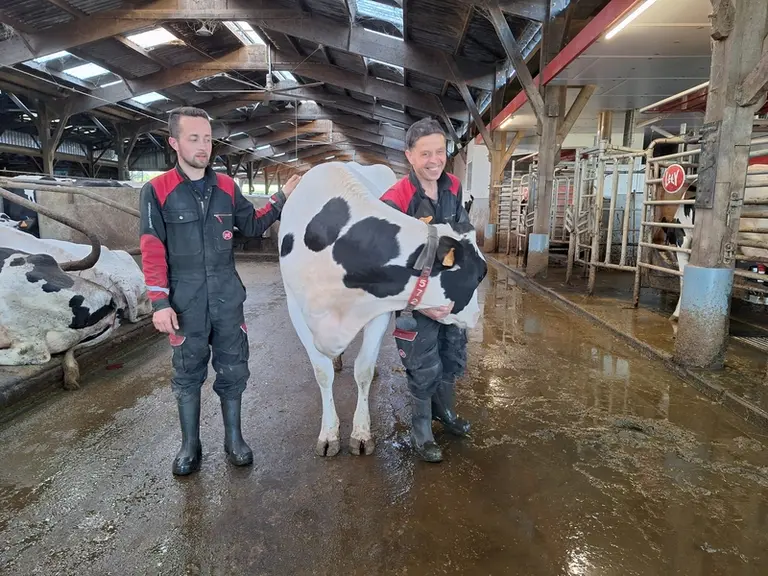 éleveurs avec une prilmipare