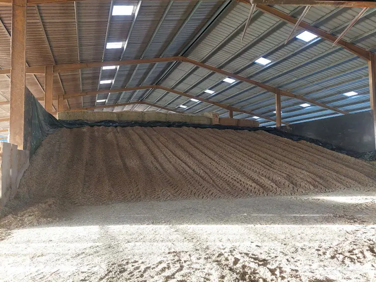 <em class="placeholder">silo de maïs ensilage en batiment</em>