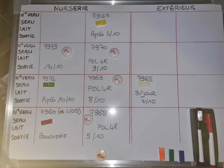 <em class="placeholder">Sur un tableau, toutes les informations pour chaque veau sont centralisées. Un code couleur permet d’associer toujours le même seau à chaque veau.</em>